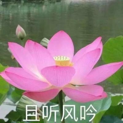 大富翁10手游官方下载正版